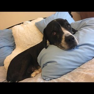 Meet your Posher, Martha